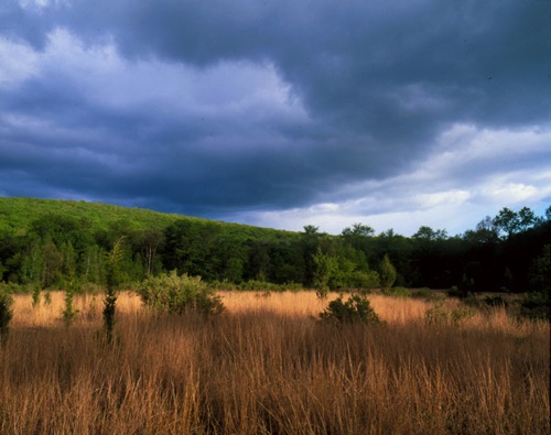Cold Front, Harts Field, Sparta Montains, NJ Highlands Sussex County Horiz (SA).jpg Cold Front, Harts Field, Sparta Montains, NJ Highlands Sussex County Horiz (SA).jpg